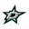 Dallas Stars